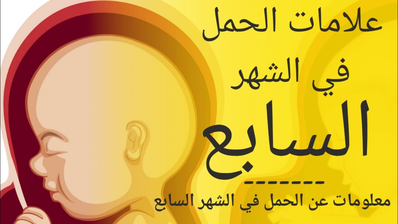 معلومات عن الحمل - اهم معلومات عن الحمل 59727