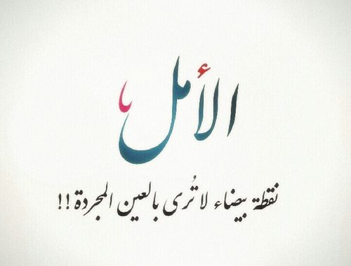 حب الحياة والتفاؤل- مقولات مشهوره للحياه 764 9