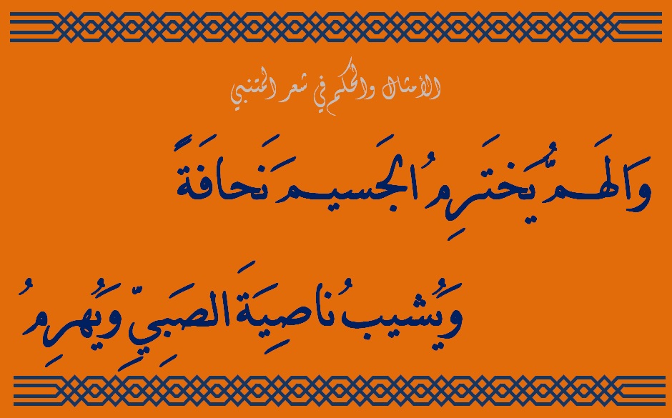 شعر الحكمة للمتنبي , ما قيل عن شعر الحكمه للمتنبي