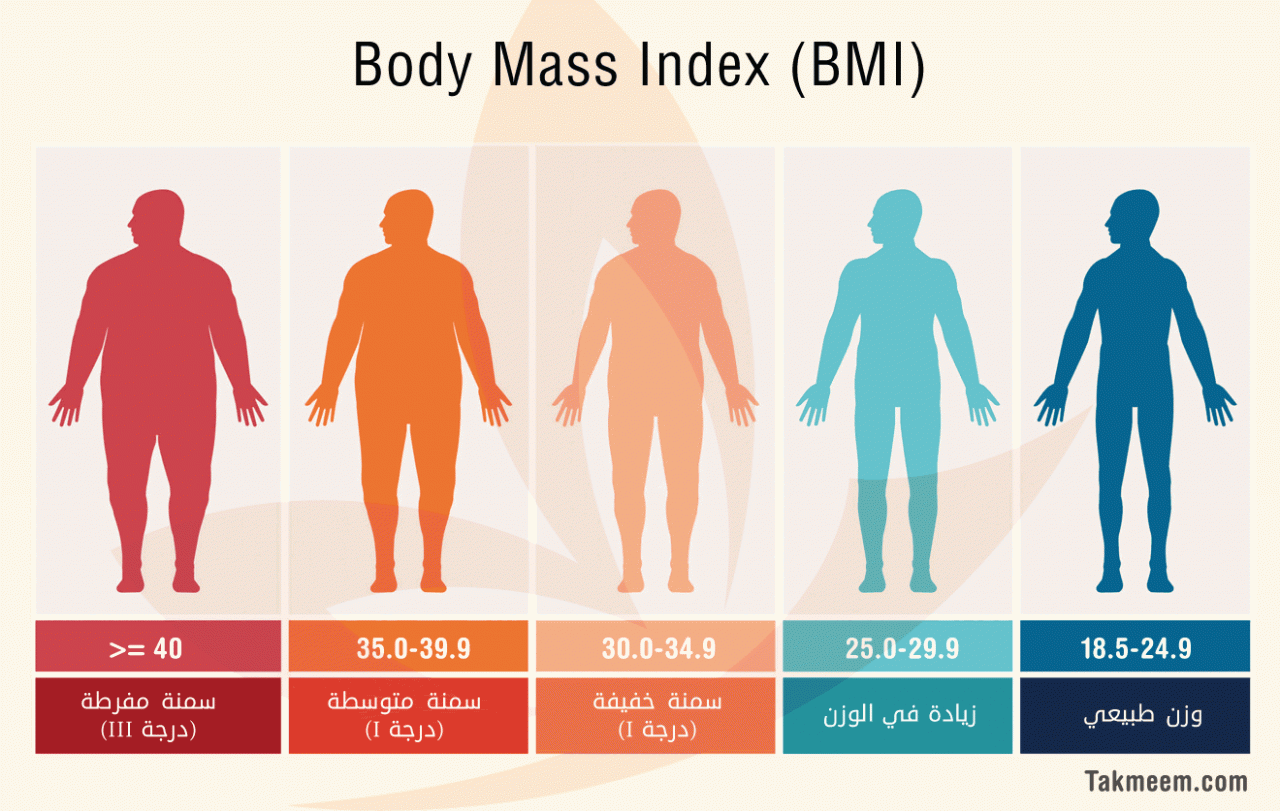 مؤشر كتلة الجسم للنساء - وزنك المثالي عنوان رشاقتك 1413