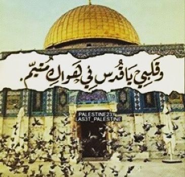 ابيات شعر عن القدس - قصائد شعرية قوية ومعبرة عن غلاوة القدس 4097 6