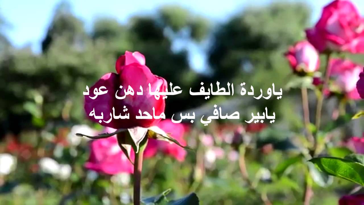 خواطر عن الطبيعة ،عبارات توضح جمال الطبيعة 1796 7