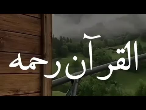 الكلمة جواز مرور الى كل القلوب - القلب علي القلب رحمه 927 7