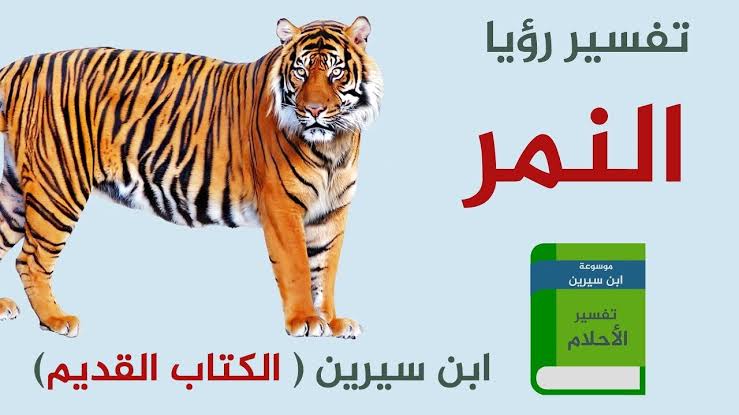 تفسير الحيوانات في الحلم - توضيح رؤية الحيوانات في المنام