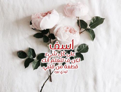 افضل رسالة اعتذار