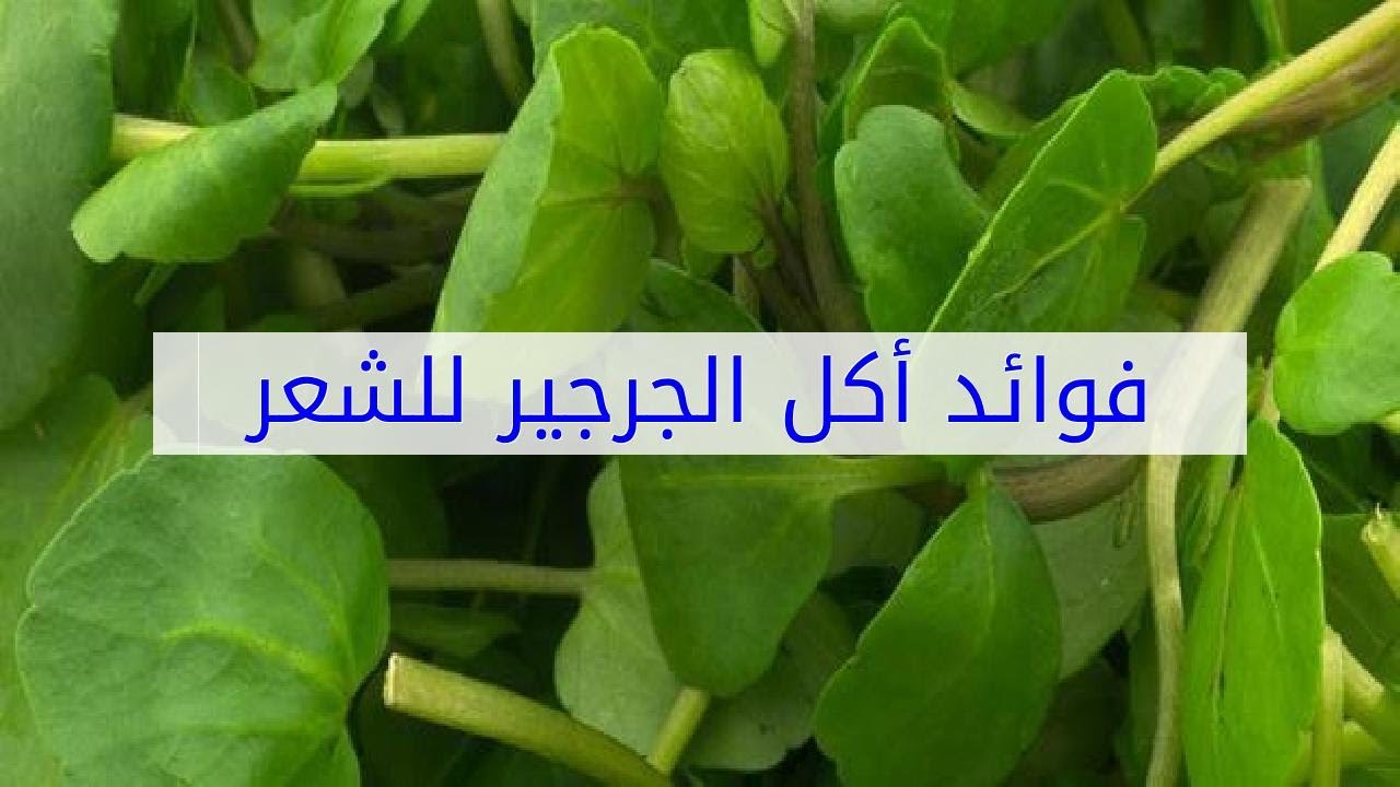 فوائد اكل الجرجير - مميزات اكل خضروات الجرجير المفيدة جدا 3988 3