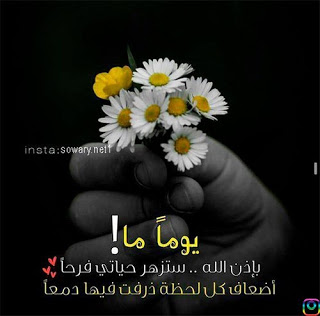 تنزيل احلى الصور 2953 3