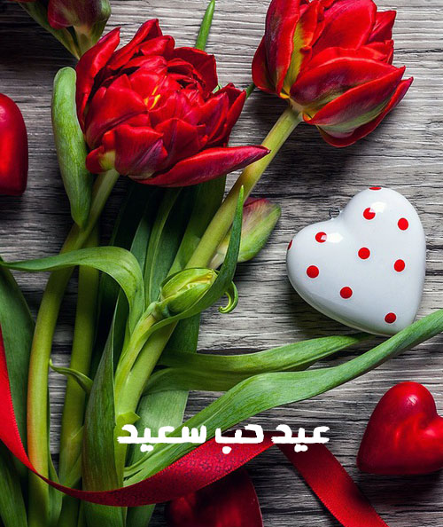 صور ورد عيد الحب - رمزيات عن ورود وهدايا جميلة في الفلانتين 4018 4