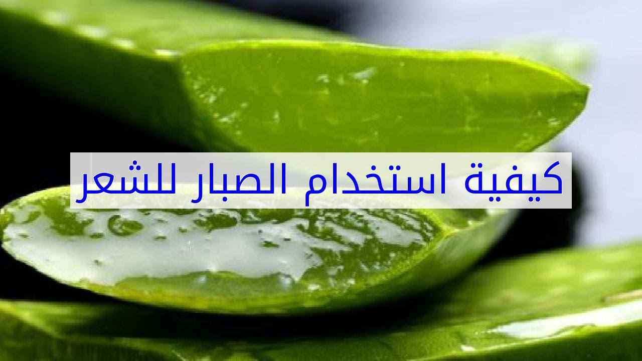 هلام الصبار للشعر , احصلي علي شعر رائع بجل الصبار