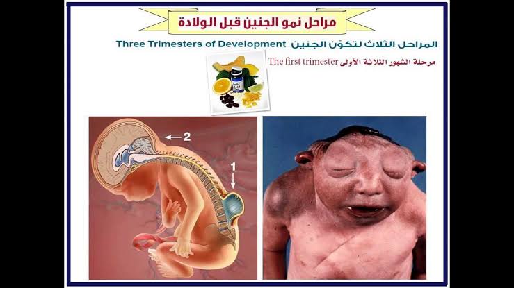 كيف يتكاثر الانسان , الزياده البشريه المستمره