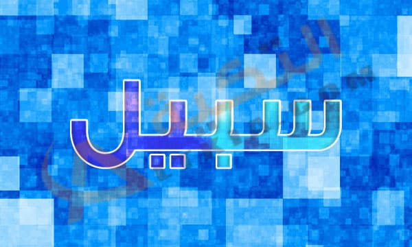 معنى اسم سبيل - شرح لاسم سبيل مميز 774 2