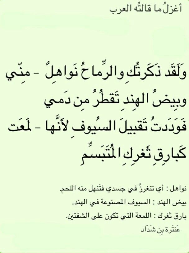 قصائد عنترة بن شداد في الغزل - ابيات شعرية مدح كثير رواها عنترة بن شداد 3712 1