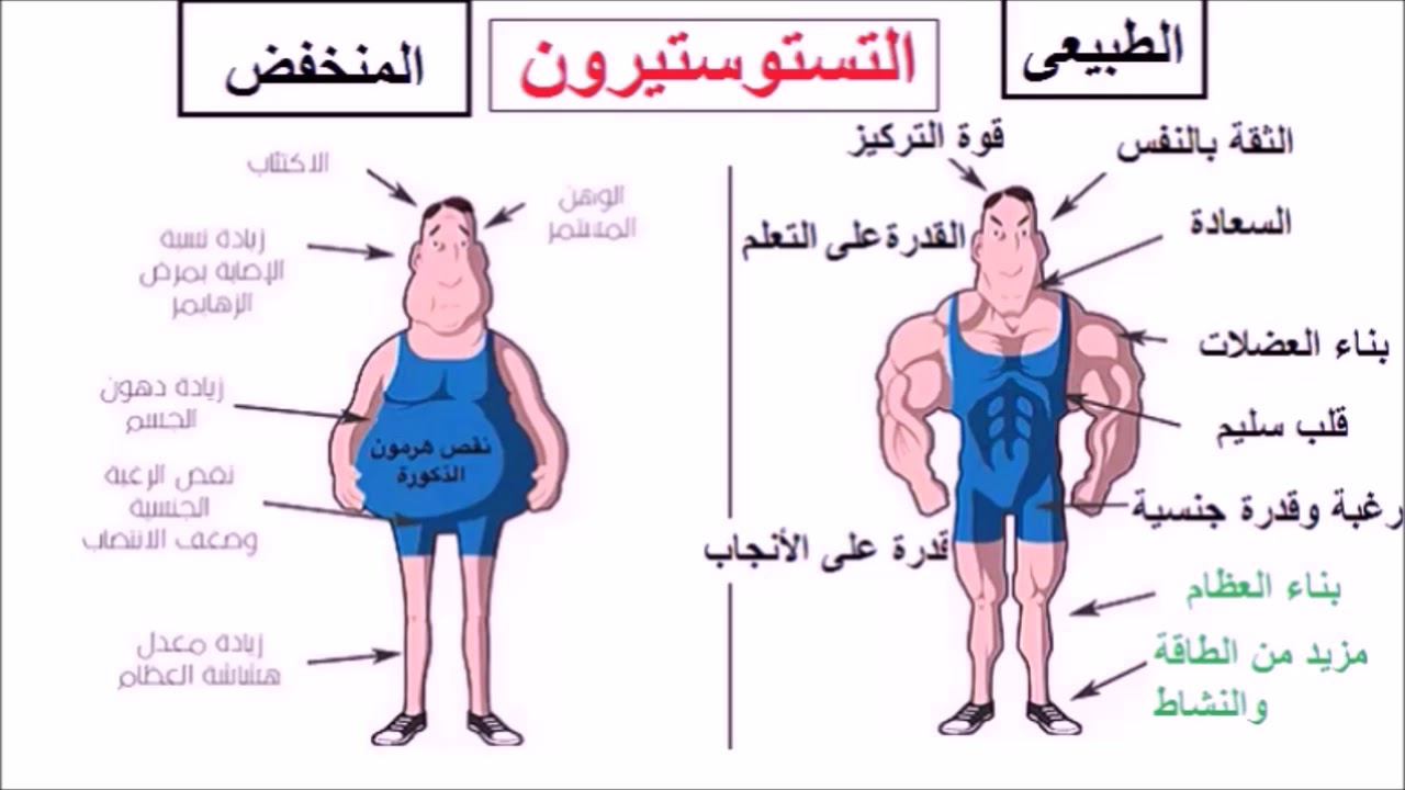 ما هو هرمون التستوستيرون , سبب ظهور الصفات الذكورية