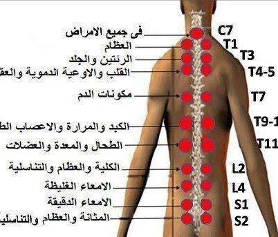 اماكن الحجامة للنساء , اين يمكن عمل الحجامه الي السيدات