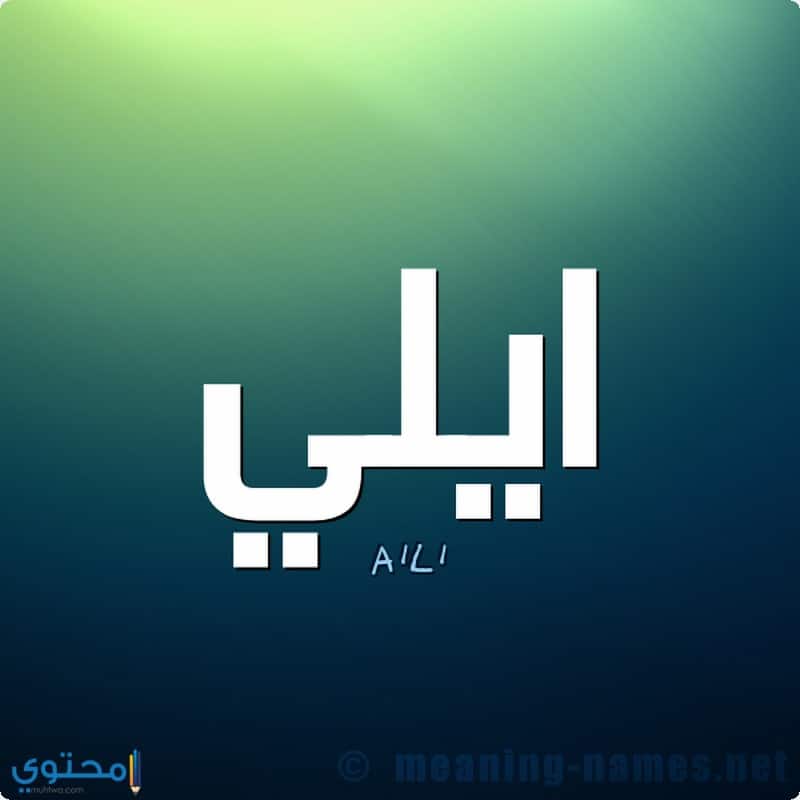 معنى اسم ايلي - اسم ولد خطير 960 2