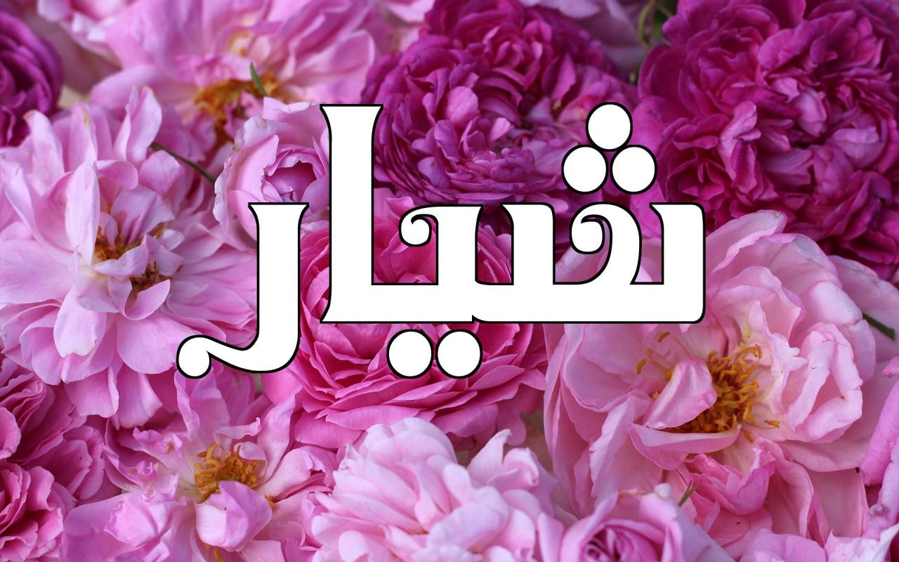 اسماء اولاد 2019 تركيه 3070 5