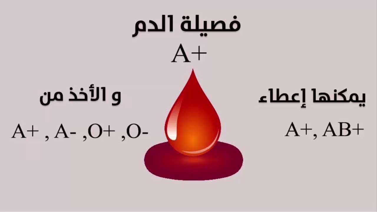 ما هي فصائل الدم - انواع فصيلة الدم 2955 2