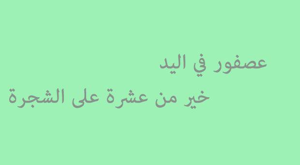 امثال يمنية مضحكة - امثال اليمن المضحكة 1300 4