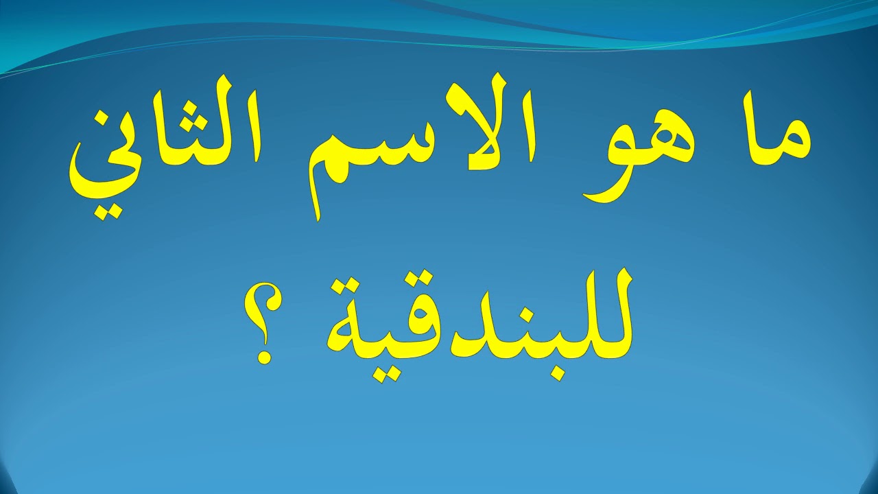 الاسم الثاني للبندقية - اجمل العاب الذكاء 1954 3