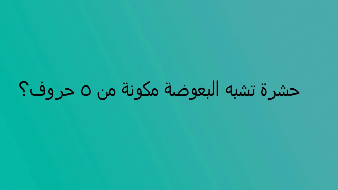 اسم حشرة من 5 حروف - العب وسلى وقتك