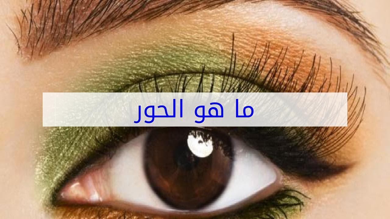 ماذا يقصد بكلمه الحور , ما هو الحور