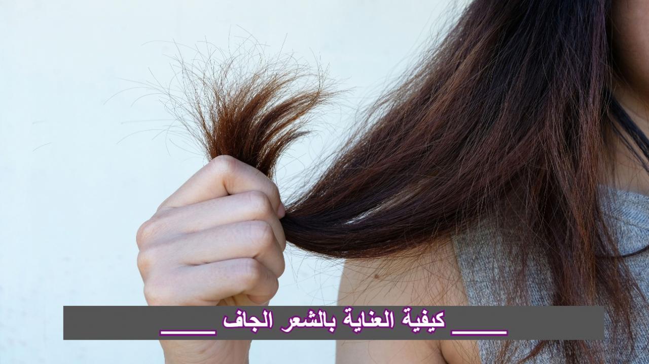 العناية بالشعر الجاف - حلول لكل مشاكل الشعر الجاف 59521 10